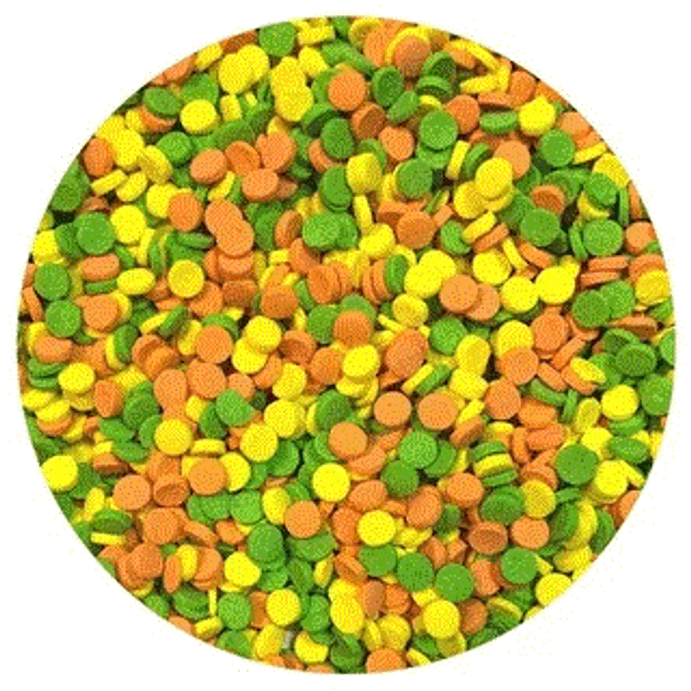3243