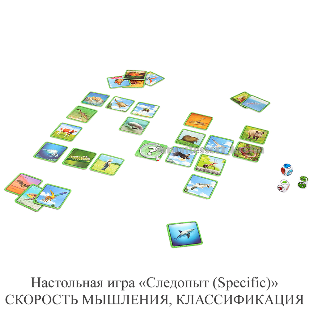 Настольная игра «Следопыт (Specific)» СКОРОСТЬ МЫШЛЕНИЯ, КЛАССИФИКАЦИЯ