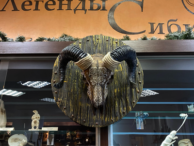 Череп барана