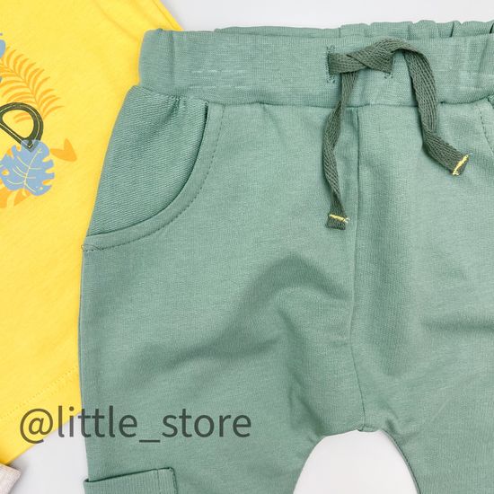 Комплект из футера "Roaring dinosour" с футболкой