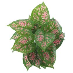 GAEM Цветочная композиция "Каладиум", L25 W25 H33 см