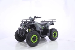 Квадроцикл MOTAX Grizlik T 200 LUX