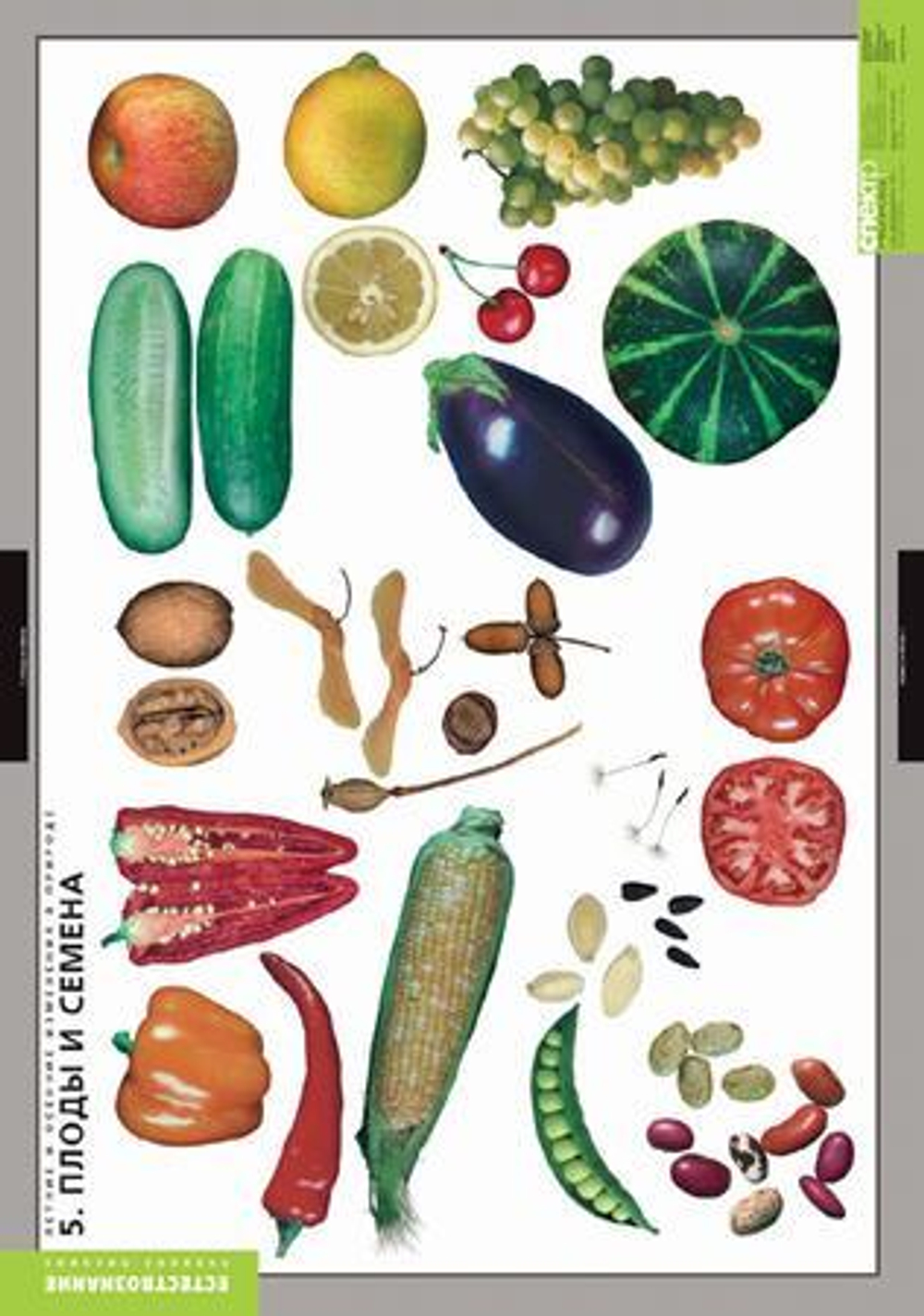 Комплект таблиц "Окружающий мир. Летние и осенние изменения в природе"; 13 таблиц + 32 карт.