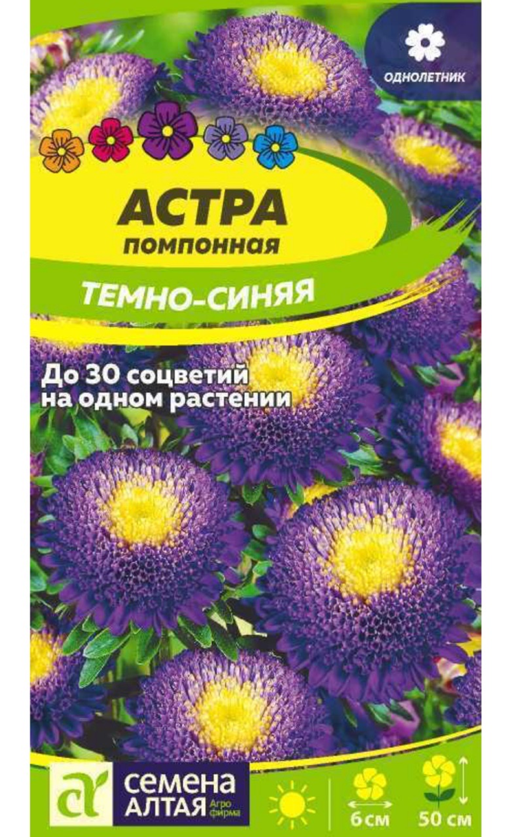 Астра Помпонная Темно-синяя 0,2 г СМЦ-439