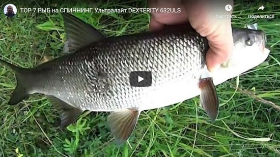 ТОР 7 РЫБ на СПИННИНГ. Ультралайт DEXTERITY 632ULS