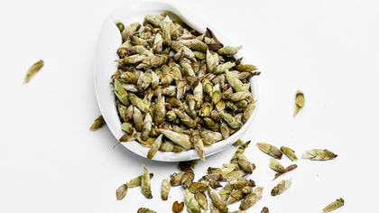 Я Бао "Почки Пуэра", Белый чай