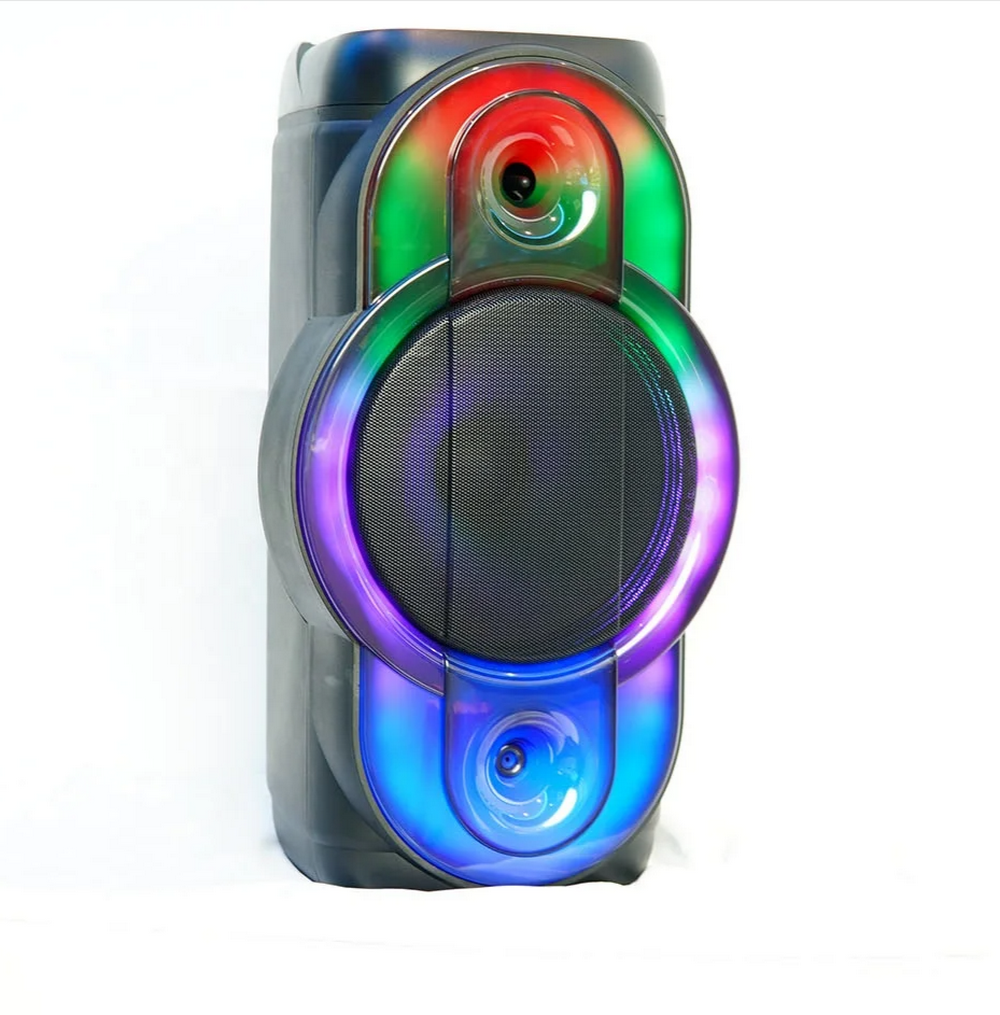 Напольная колонка Sing-e ZQS-12119 (12"40W/+беспр.мик.)