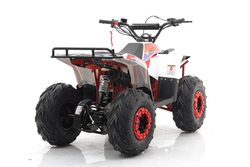 Квадроцикл MOTAX Grizlik A110