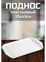 Поднос пластиковый столовый 30х43см комплект *1шт