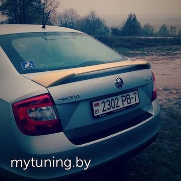 Спойлер фигурный для Skoda Rapid