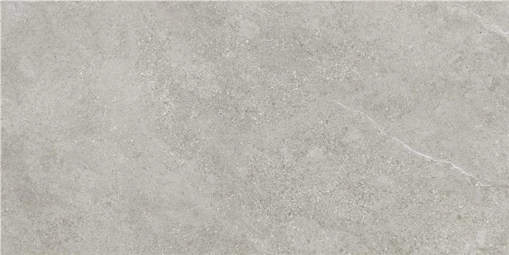 STN Arenite Grey Matt 60x120