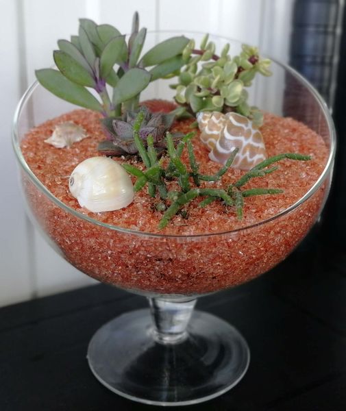 Уход за композициями из суккулентов.