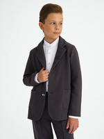 Костюм пиджак с брюками