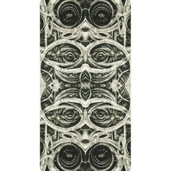 Таро Ворон Смерти