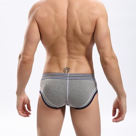 Мужские трусы брифы серые TOOT Sport Binder Brief Grey