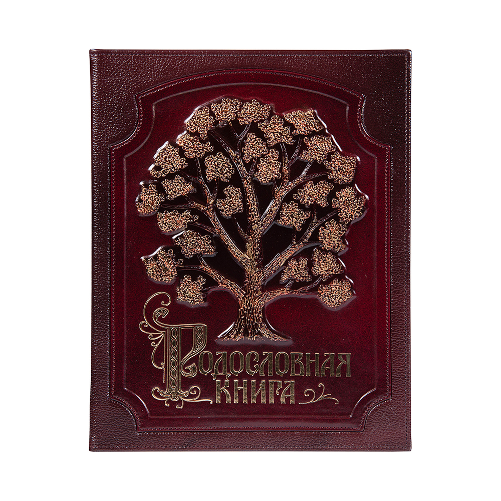 Родословная книга "Изысканная с росписью" в подарочной картонной коробке