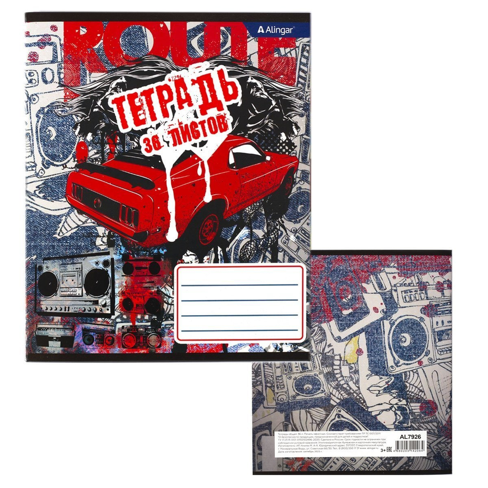 Тетрадь 36л., А5, клетка, Alingar "Гранж", скрепка, блок офсет, мелованный картон (эконом), 4 дизайна в пленке т/у