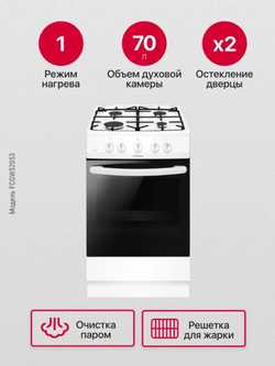 Газовая плита Hansa FCGW52053