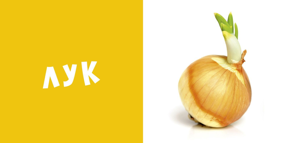 Мои первые слова. Фото-книга. Овощи МИНИ (новый тираж)