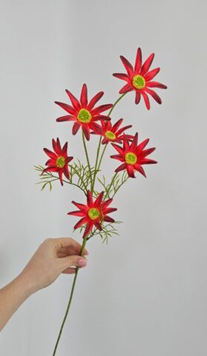 Хризантема / Арт 2436