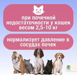 Фортекор , Elanco, таблетки для собак с сердечной недостаточностью и кошек с хронической почечной недостаточностью 5 мг, 14 шт. Беназеприл.