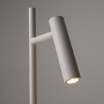 Напольный светильник (торшер) Maytoni Z010FL-L8W3K