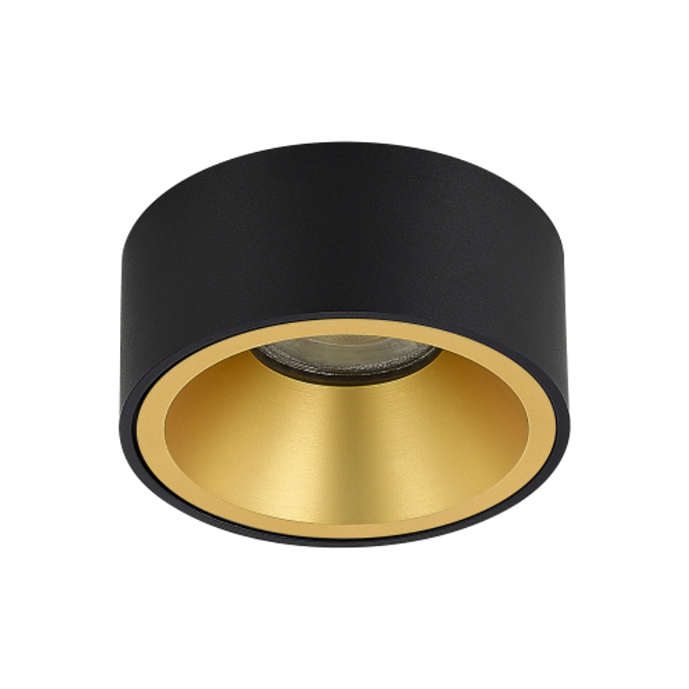 DL18030R1BlackBrass F