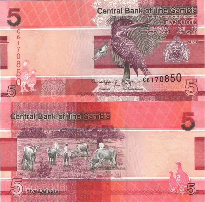 5 даласи 2023 Гамбия
