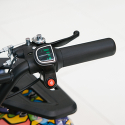 Детский электроквадроцикл MOTAX GRIZLIK MINI E1000 BW