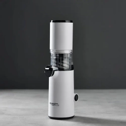 Соковыжималка шнековая SCARLETT SC-JE50S59