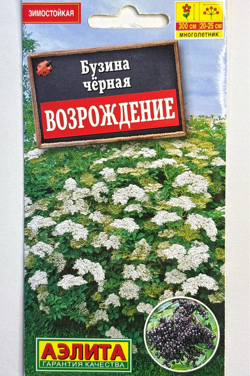 Бузина черная Возрождение СМЦ-720