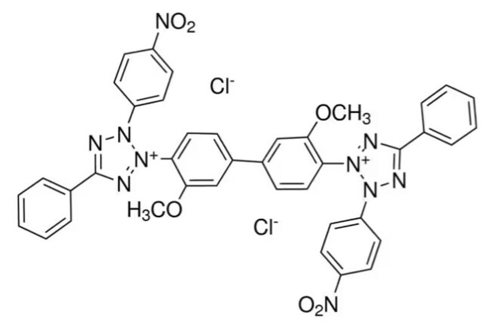 нитротетразолевый синий формула