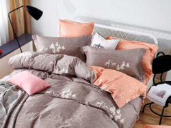 Постельное белье 1.5 спальное Asabella 1421-4S