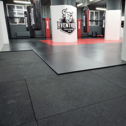 Модульное покрытие из резины Gym