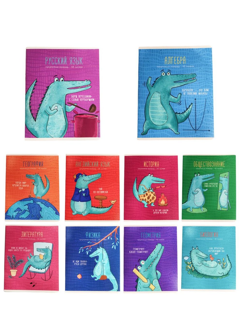 Комплект (10 шт.) предметных тетрадей 48л. ArtSpace "Новый взгляд"