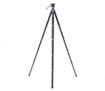 Штатив Benro Cyanbird Pro, карбоновый, с головой для фото и видео, TCBC25FS20PROC501