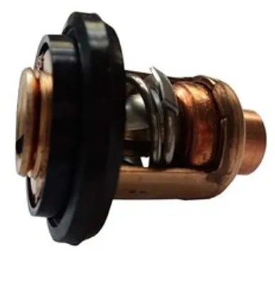 Термостат Yamaha 6E5124110200