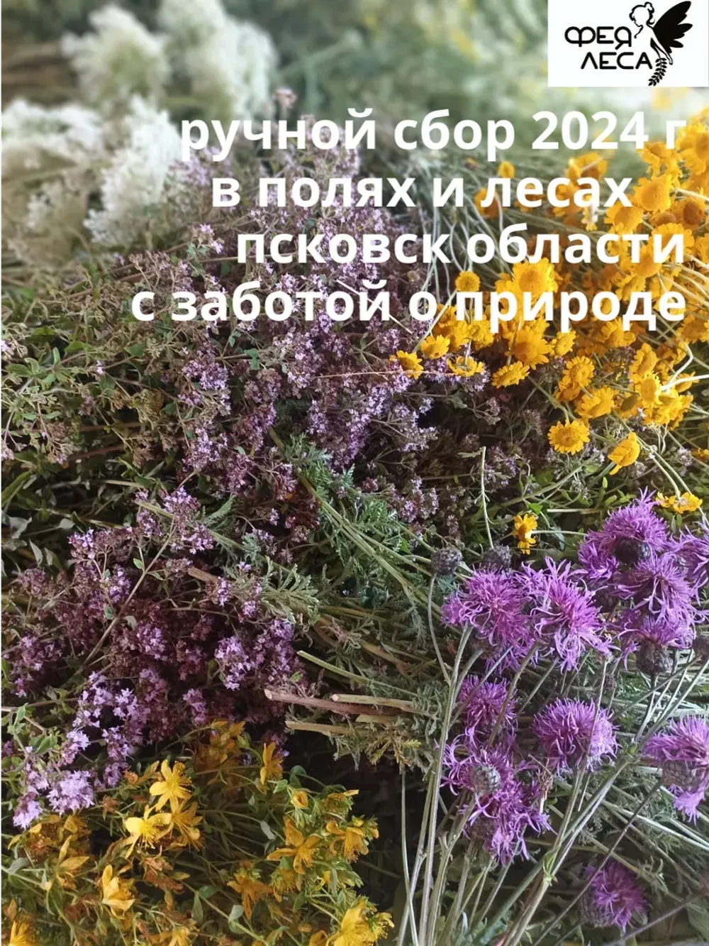 Иван-чай ферментированный крупнолистовой с душицей и ягодами