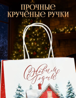 Подарочный пакет 22*22*11см