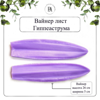 Вайнер лист Гиппеаструма