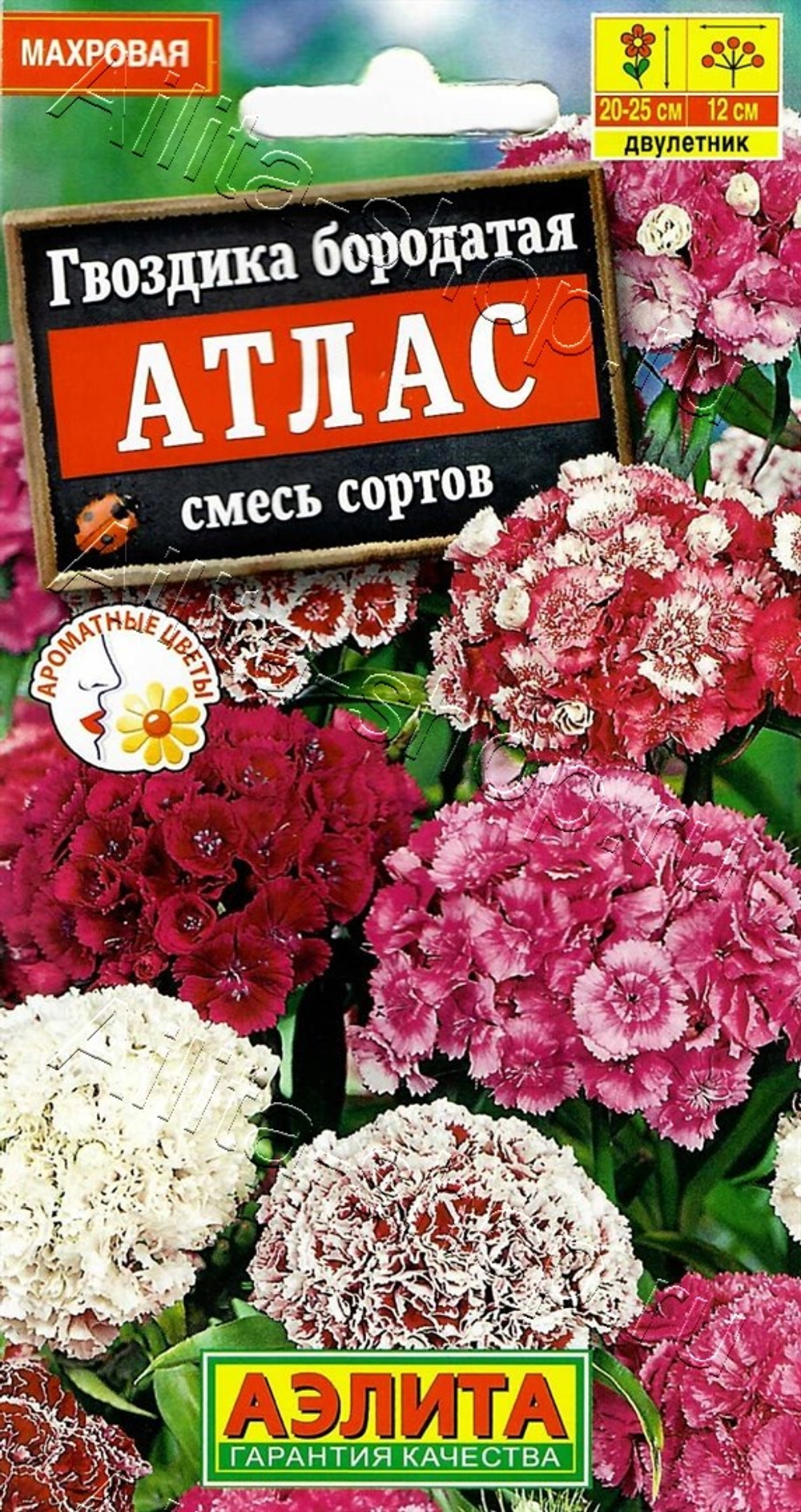 Гвоздика Атлас смесь турецкая 0,1г Ц Аэлита