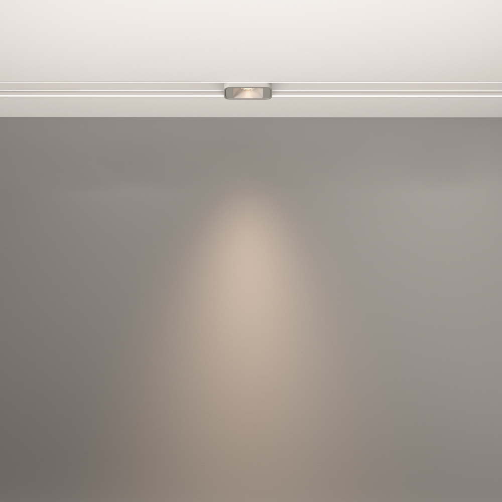 Трековый светильник Technical TR100-2-2W4K-S-W