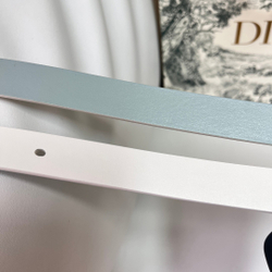 Christian Dior Reversible Belt