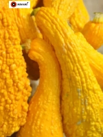 Кабачок цукини Золотой гребешок Rugosa Fri