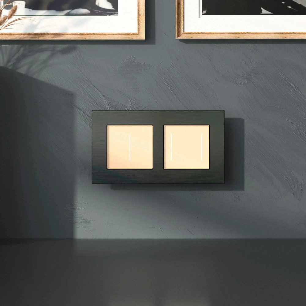 Рамка на 2 поста AluMax (черный алюминий) W0023508