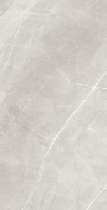 ARMANI SILVER RT7013-A