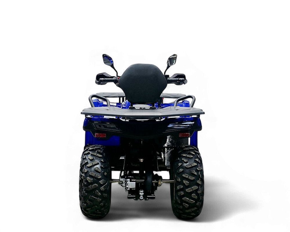 Квадрицикл Bizon YK250 LUX EFI ПТС