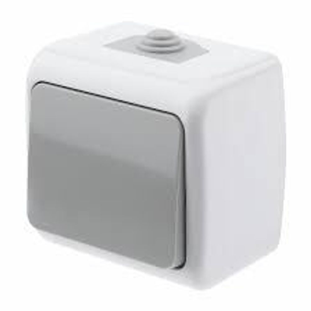 Выключатель 1-кл. серый наруж уст.IP54 ОУ 10А-250В, Intro Atlantic