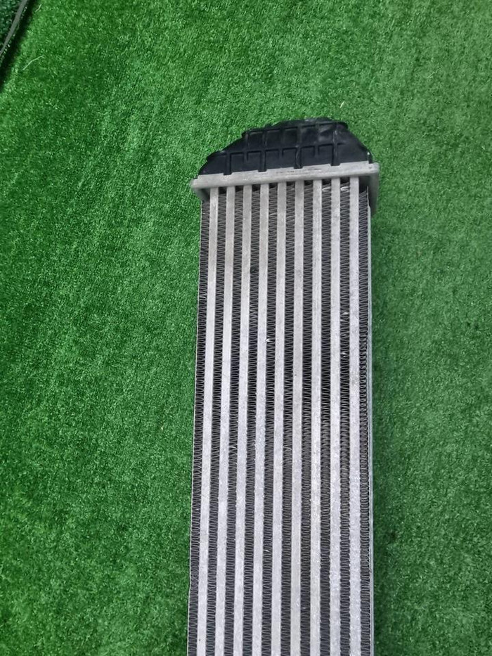 Интеркулер Hongqi HS5 (2019-н.в.)