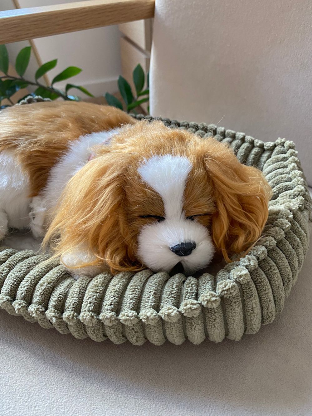 Собака Perfect Petzzz